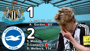 newcastle-brighton 1-2